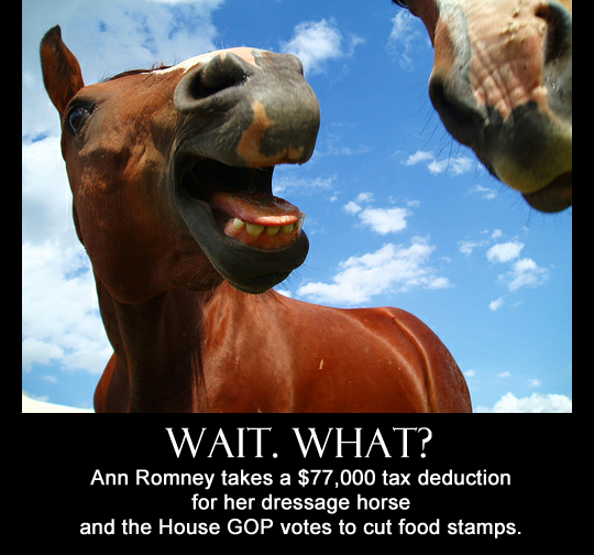 horse%20deduction.jpg