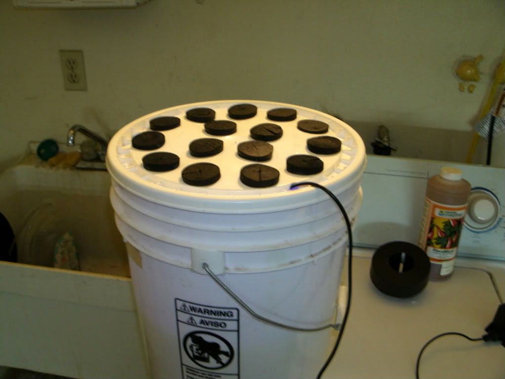 GEDC0012.jpg