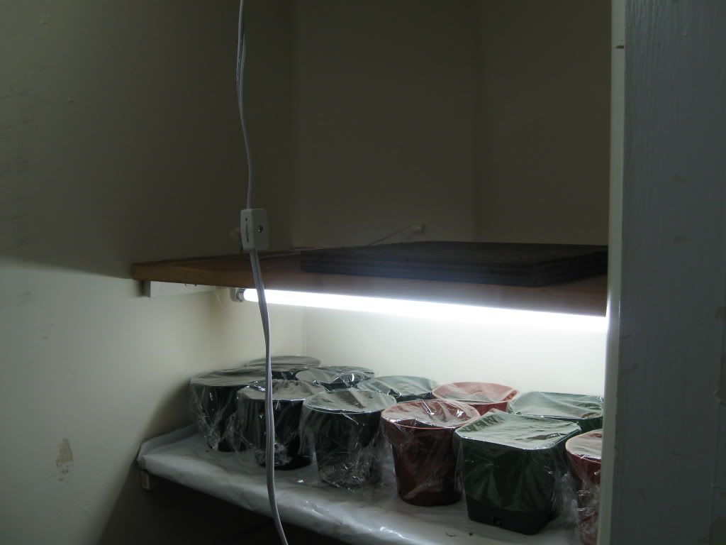 indoor09017.jpg