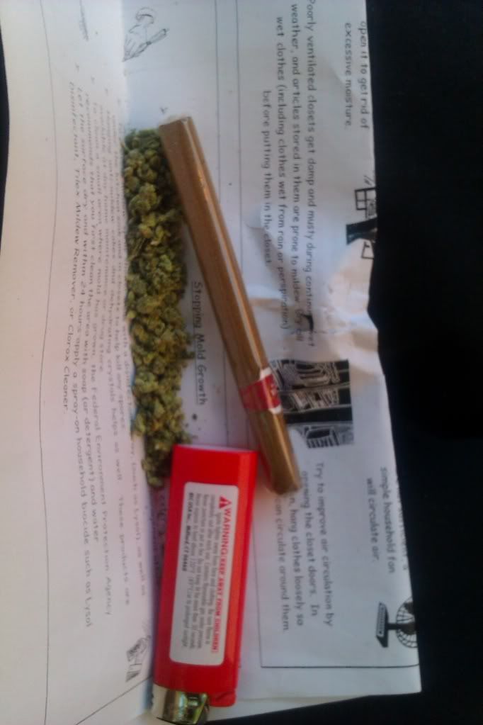 IMAG0066.jpg