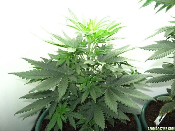 BB_CC_Update_Sep21_084.jpg