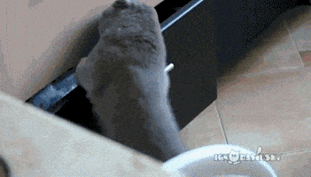 200.gif