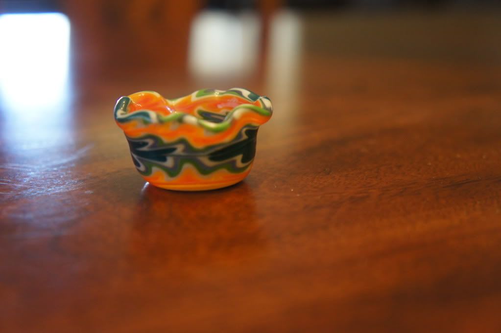 DSC01311-1.jpg