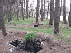 tumblr_mzhv1cCj561t0cscho1_250.gif