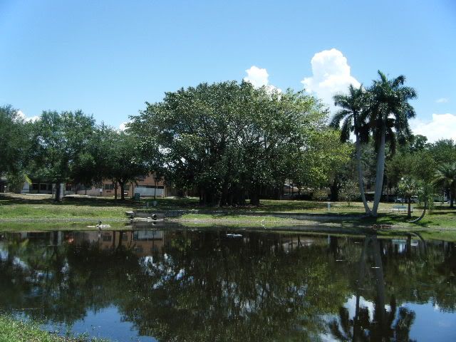 DSCF0830.jpg