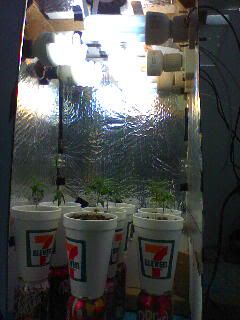 Mar30_0001.jpg