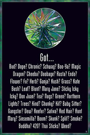 got-weed.jpg