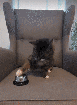 1677160631_21.gif