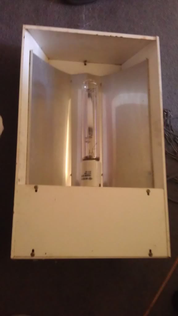IMAG0626_zps6770e321.jpg
