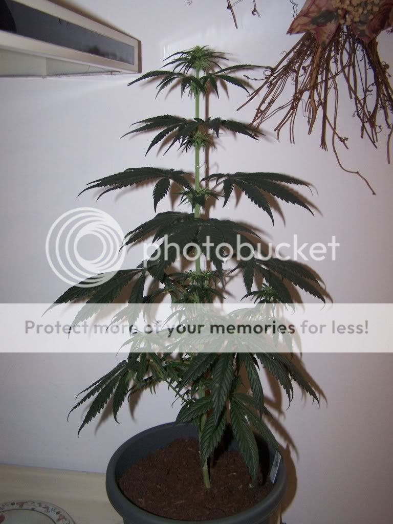 100_4051.jpg