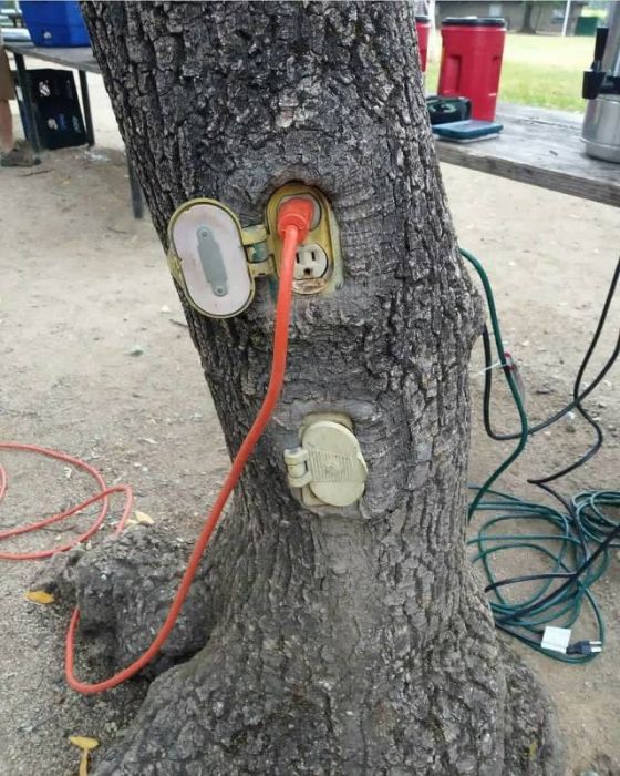 acid_picdump_37.jpg