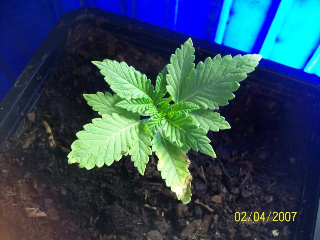 100_8072.jpg
