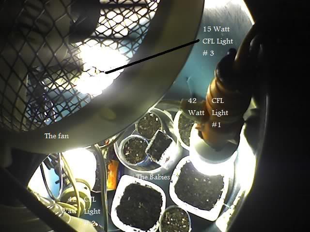 roomstuff.jpg