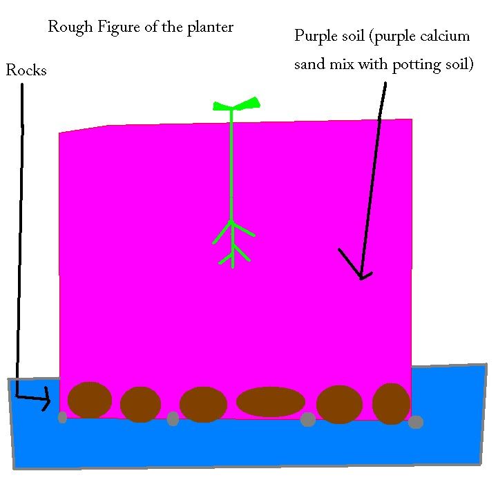 plnter.jpg