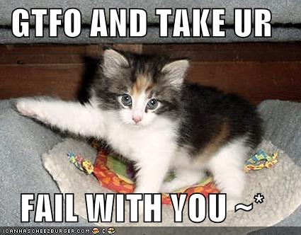 Cat-says-gtfo-cats-27432783-425-332.jpg