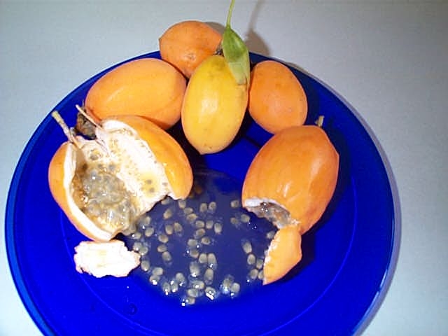 JamaicanLilikoi.JPG