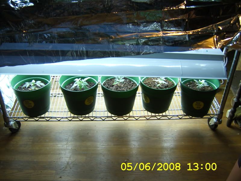 DCAM0157.jpg