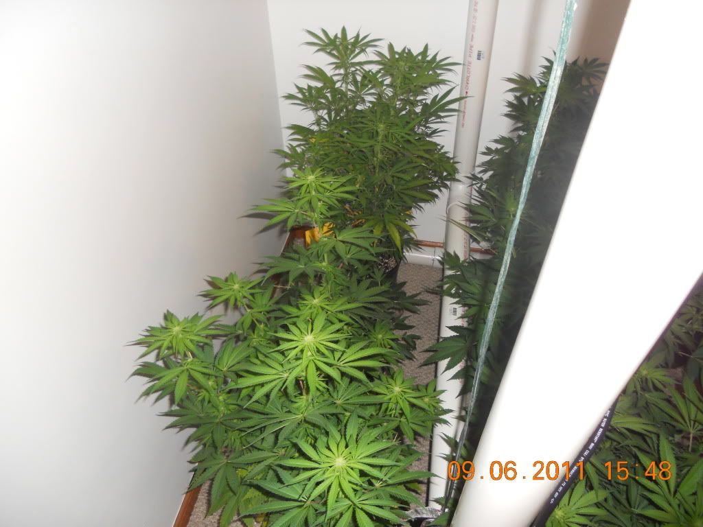 DSCN4522.jpg