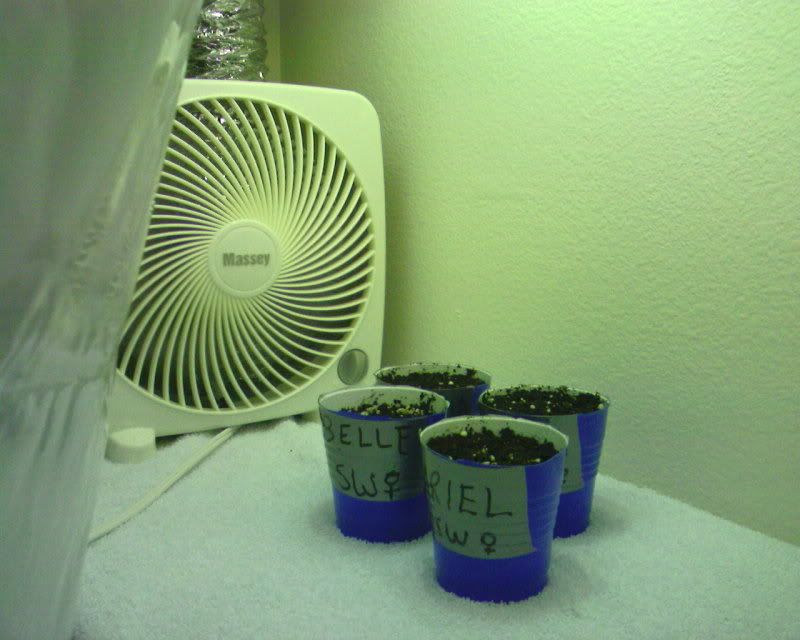 Photo-0179.jpg