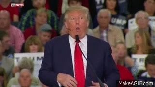 1temper2.gif