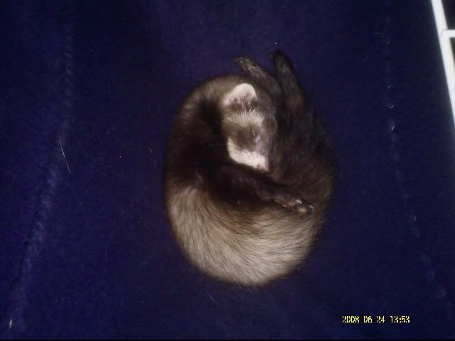 PICT0003.jpg