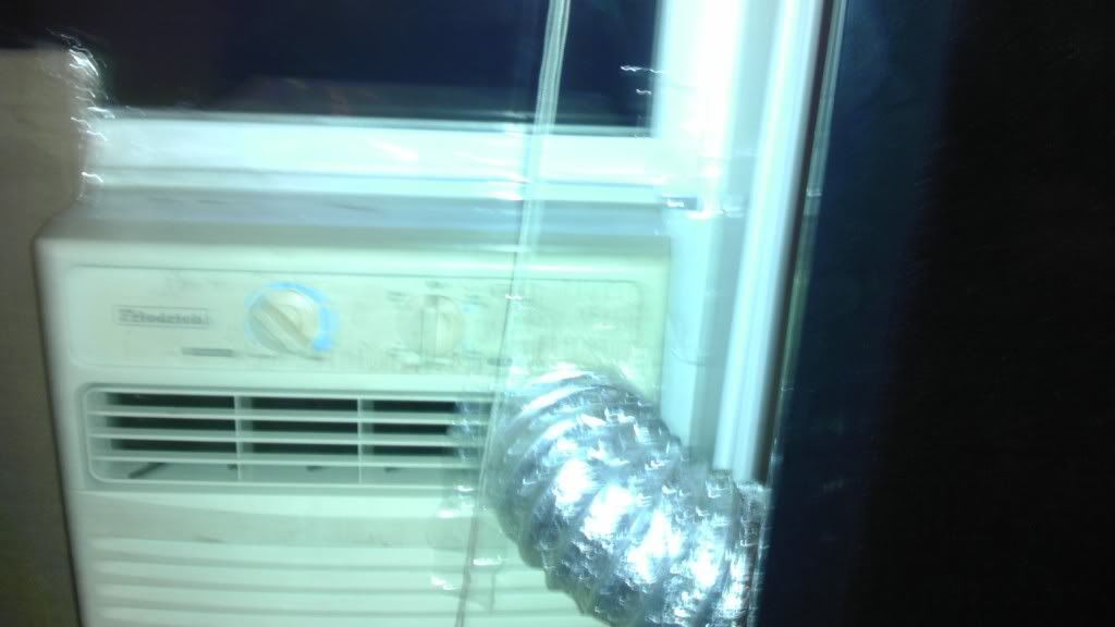 IMAG0434.jpg