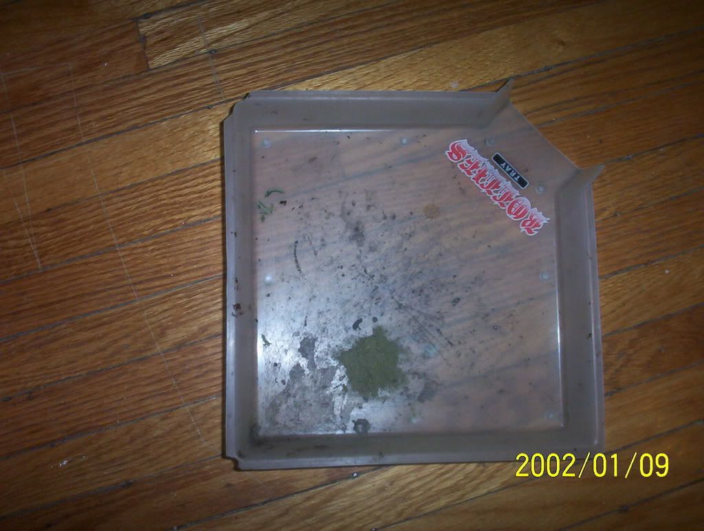 neww009.jpg