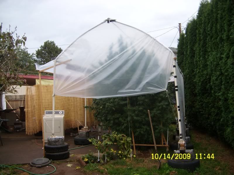 sl739044.jpg