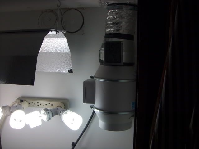 ExhaustandLights.jpg