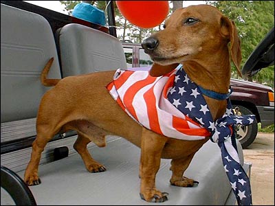 FourthPup-11.jpeg