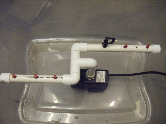 DSCF1711.jpg