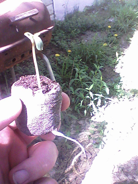 143498991-Photo-0045.jpg