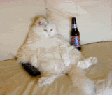 funny-animated26.gif