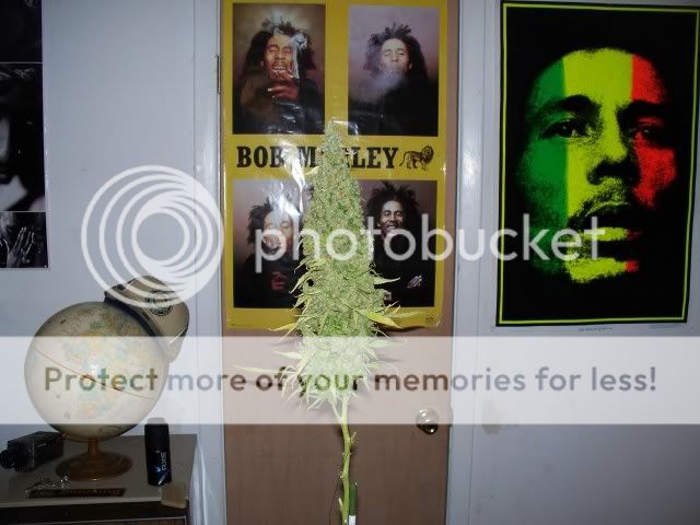 100_1212.jpg