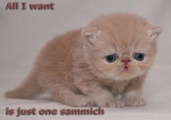 justonesammich-1.jpg