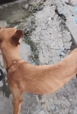1670518666_14.gif