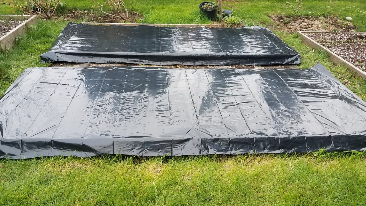 bedscovered.jpg