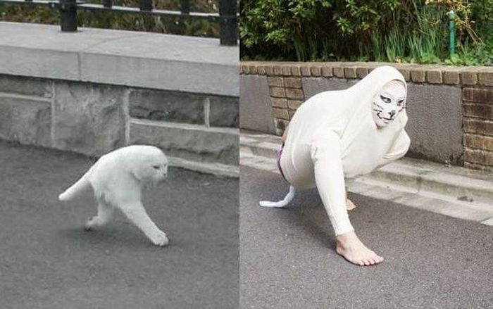 acid_picdump_03.jpg