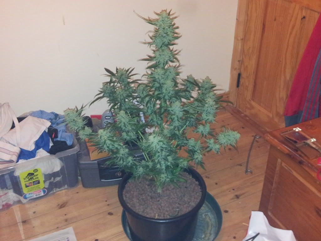 20130104_021922.jpg
