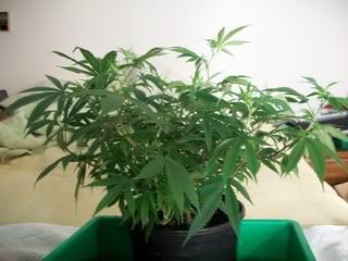 4-22-11045.jpg