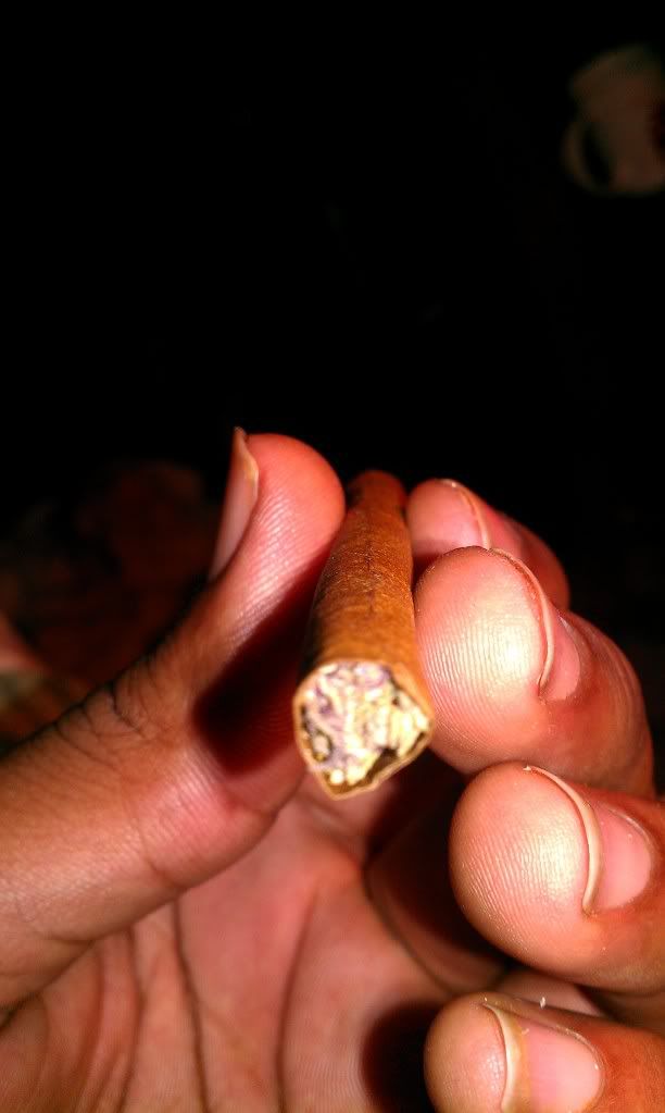 IMAG0843.jpg