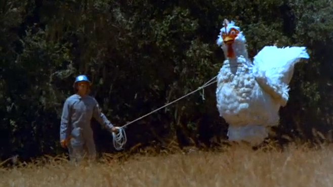 chicken_1973_01.jpg