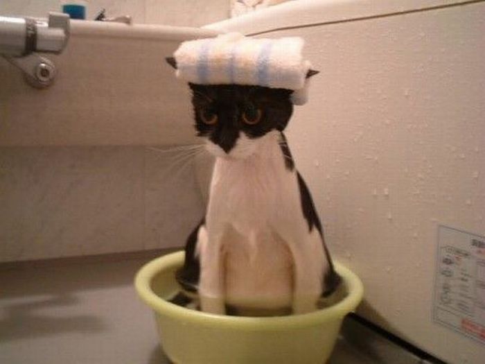 acid_picdump_21.jpg