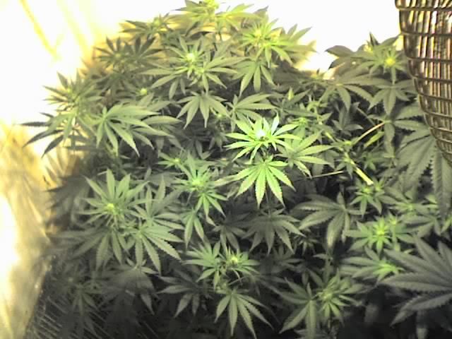 10-25-07_1606.jpg