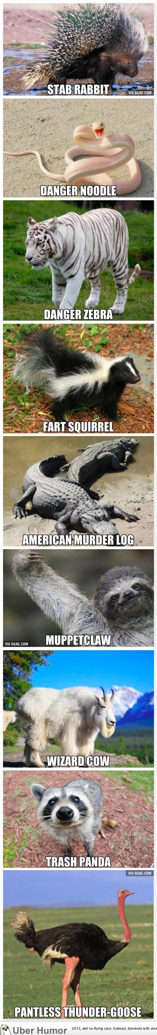 KCcFVyb.jpg