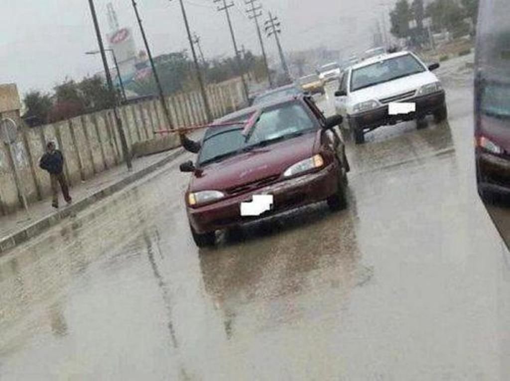 83555582.jpg