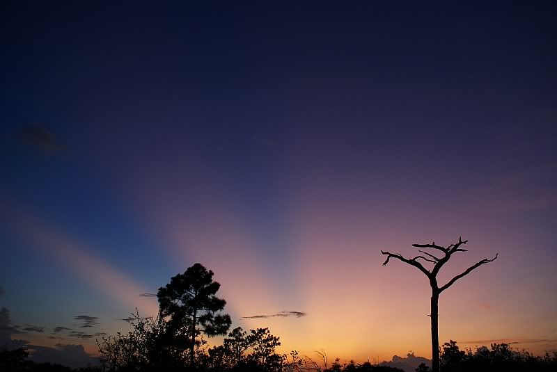 Sunsetcandy.jpg