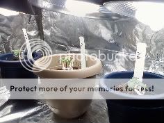 0507090925.jpg