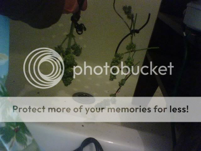 0119091730.jpg