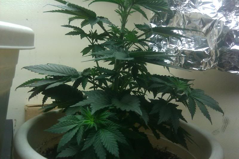 c8fcba86.jpg